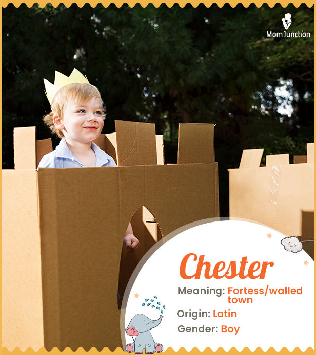 Chester means a walled town