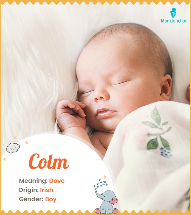 Colm, meaning dove
