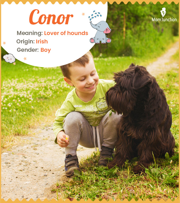 Conor means hound lover