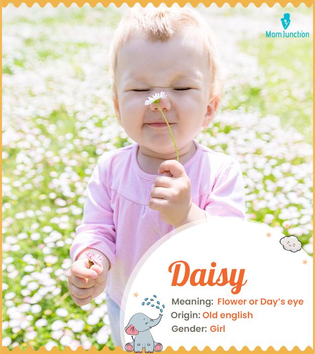 Daisy Name Meaning, Origin, History, And Popularity MomJunction