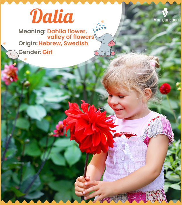 Dalia, a flowering branch