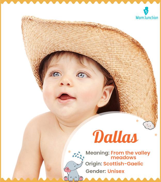 Dallas, meaning from the valley meadows