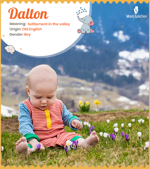 Dalton meaning settlement in the valley
