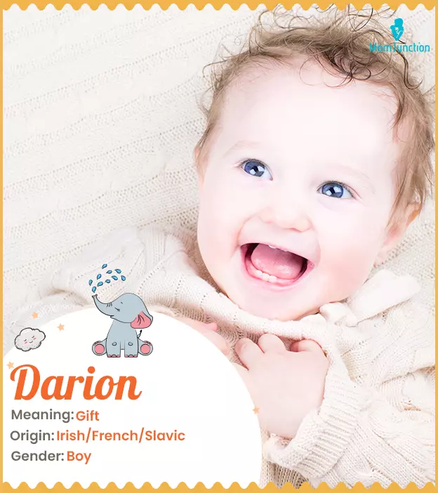 Darion Name Meaning, Origin, History, And Popularity