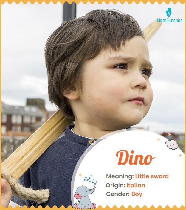 Dino, meaning little sword.