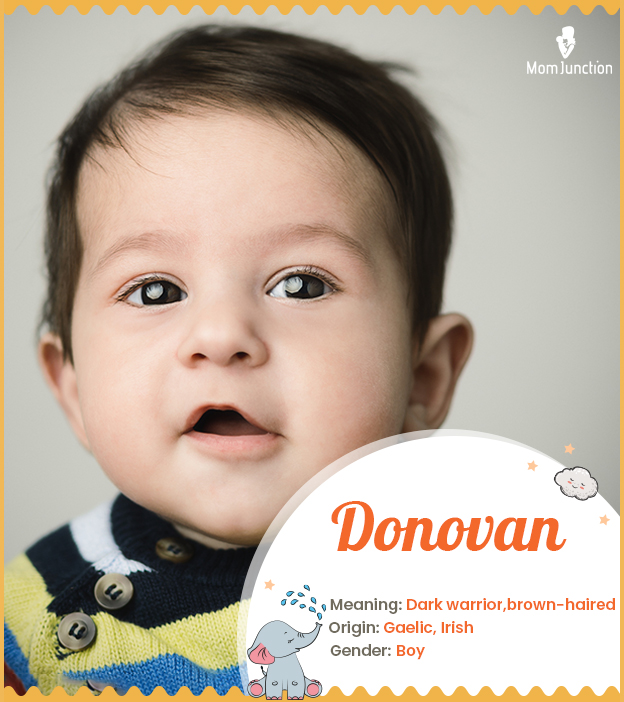 Donovan, which means brown-haired or a dark warrior.
