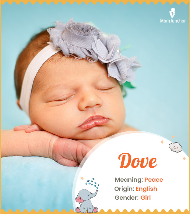 Dove meaning peace