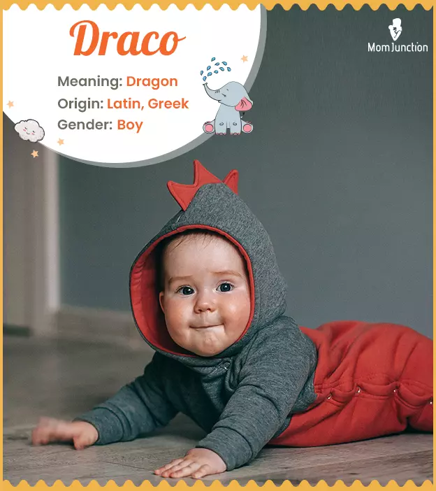 Drago - Name Meaning Origin And Popularity  