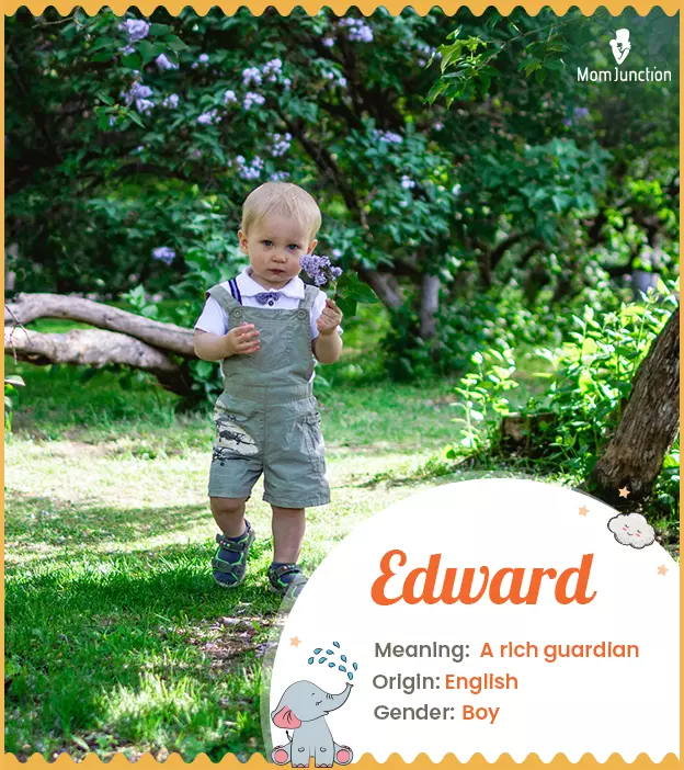 Edward Name Meaning, Origin, History, and Popularity