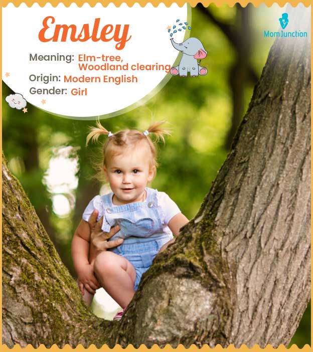 Emsley, means elm tree