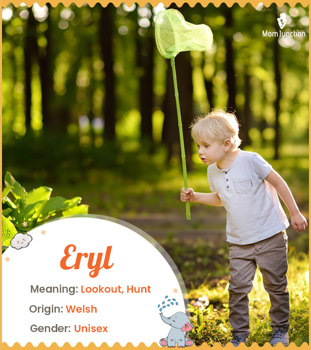 Eryl, a sweet-sounding Welsh name