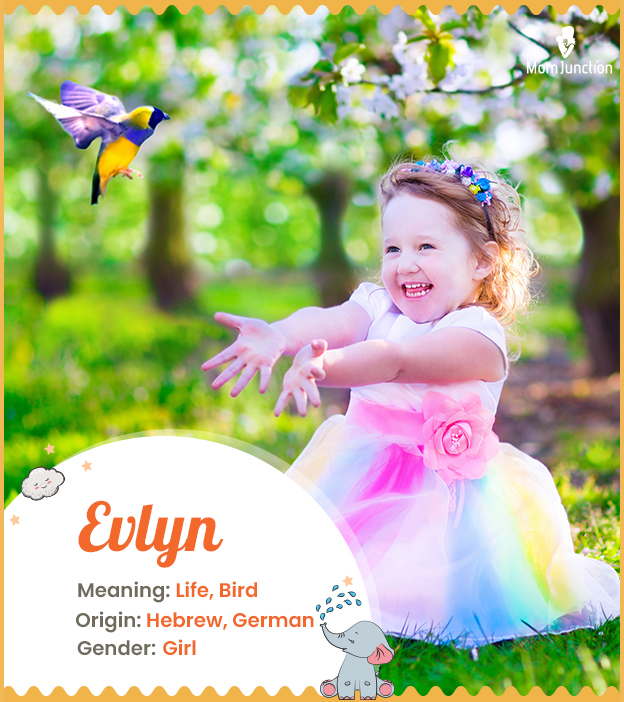 Evlyn, meaning life or bird