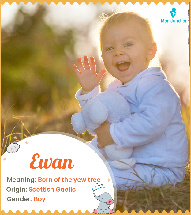 Ewan, child of the yew tree.