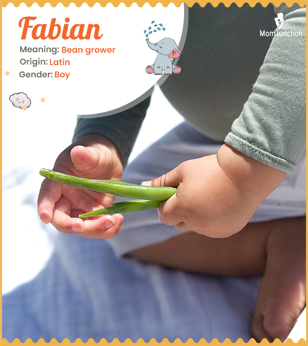 Fabian meaning Bean grower