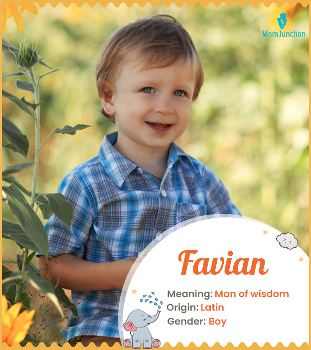 Favian, means understanding, man of wisdom, or brave man.