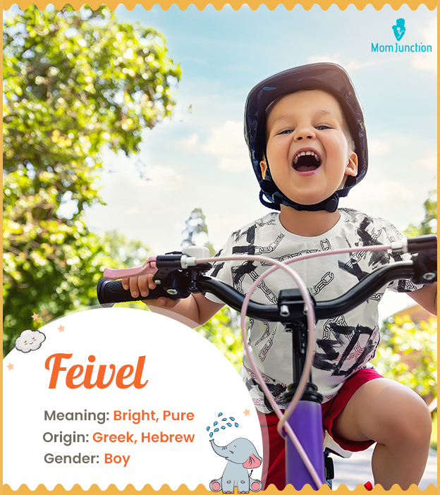 Feivel means bright