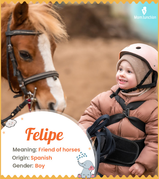 Felipe, means friend of horses