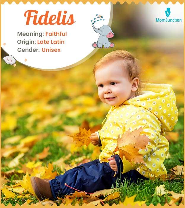 Fidelis Care, Print Ads