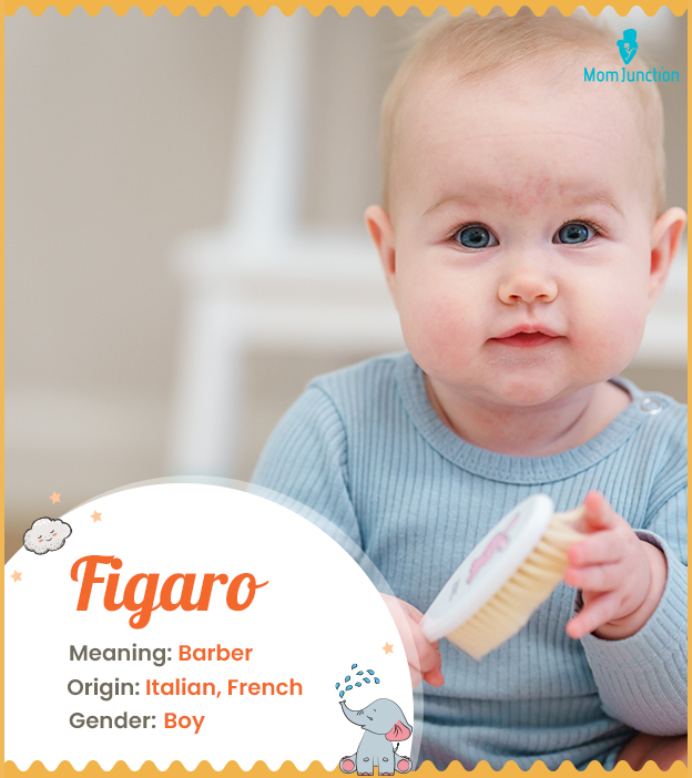 Figaro means barber