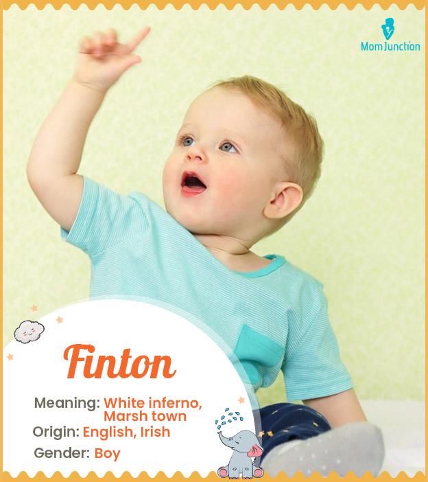Finton means an indi