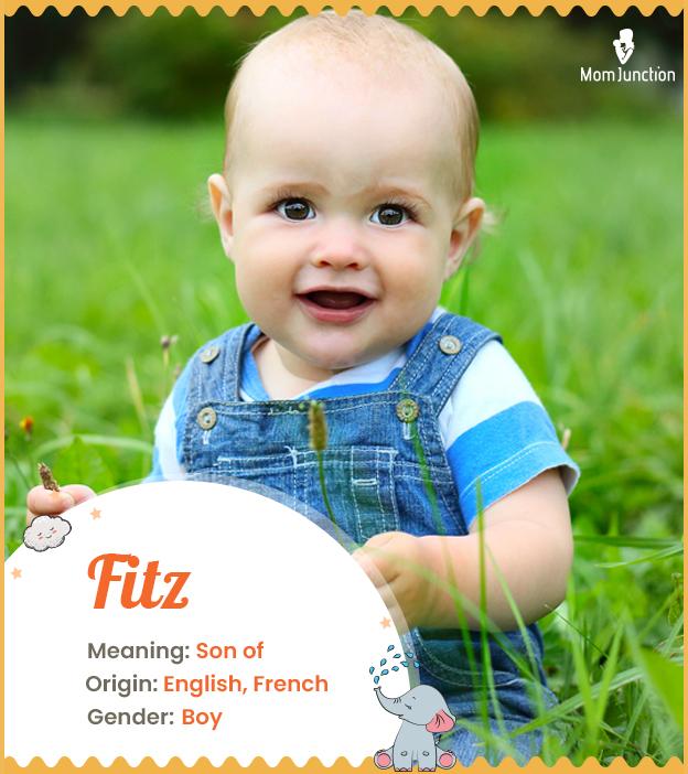Explore Fitz Meaning, Origin & Popularity