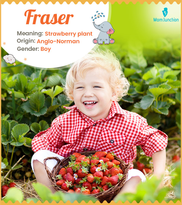 Fraser means strawberry plant