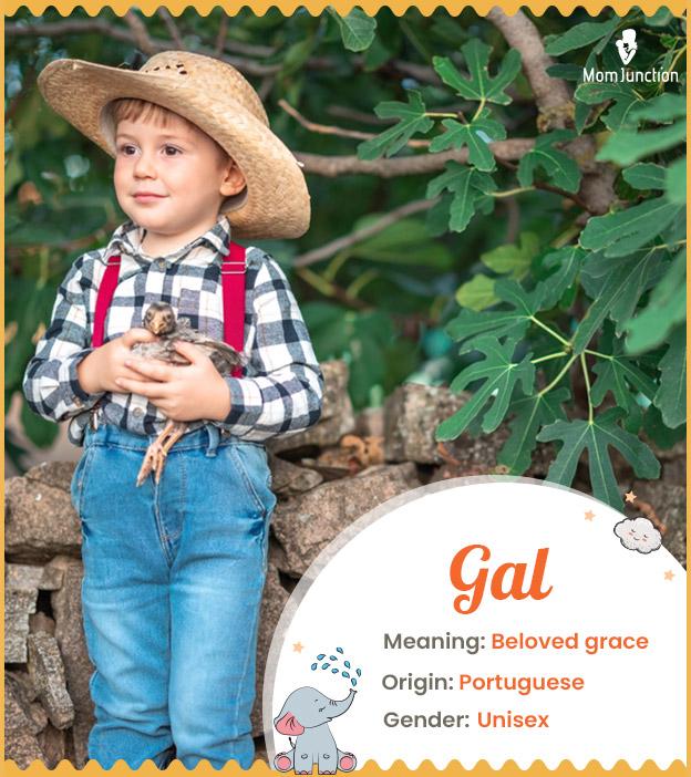 Explore Gal Meaning, Origin & Popularity