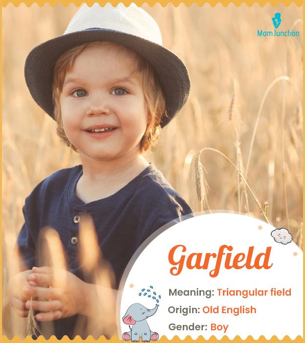 Garfield, meaning a 