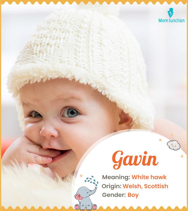 Gavin Name Meaning, Origin, History, And Popularity
