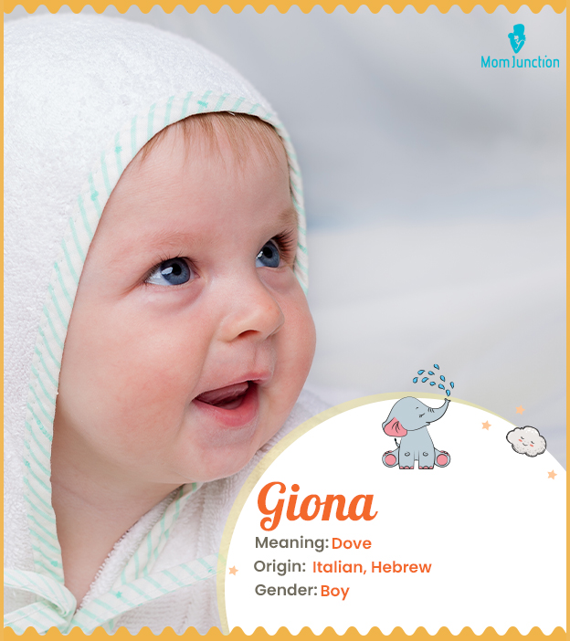 Giona, as graceful as a dove