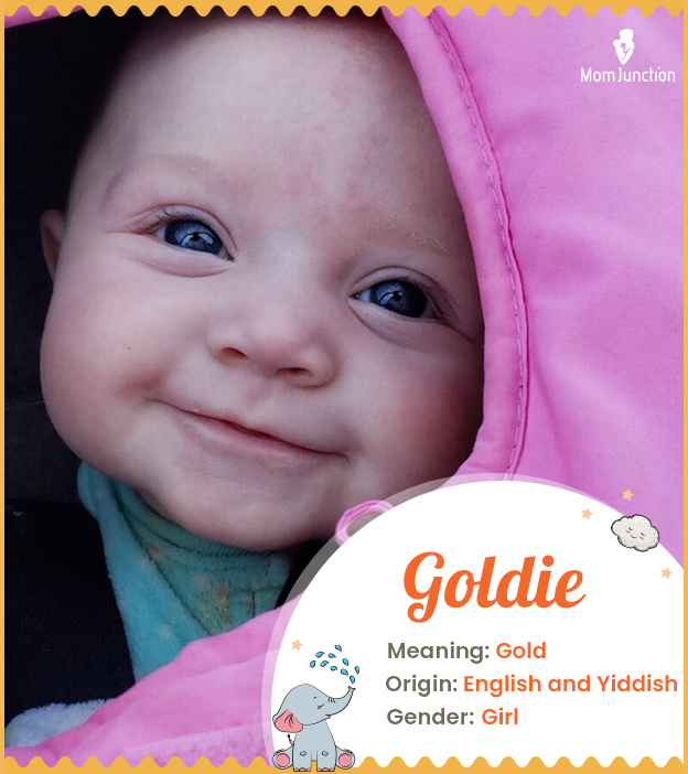 Goldie, a unique name that glitters with charm and radiates with joy.
