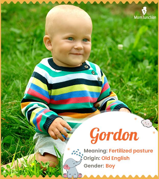 Gordon means fertilized pasture