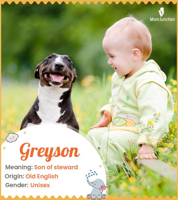 Greyson Name Meaning, Origin, History, And Popularity