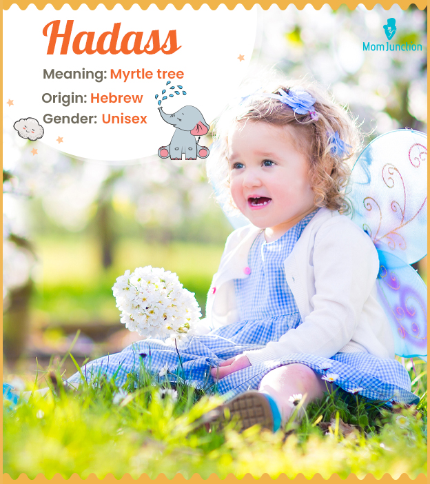 Hadass, meaning a myrtle tree