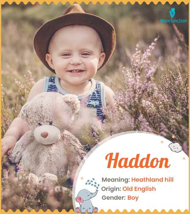 Haddon means heathland hill