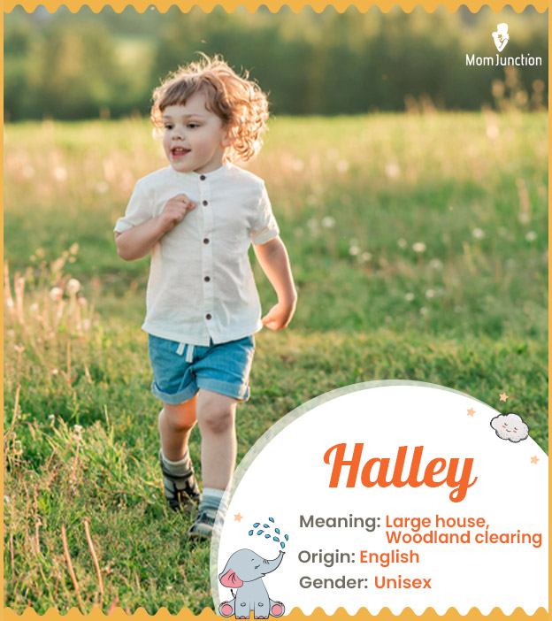 Halley means large hall or woodland clearing