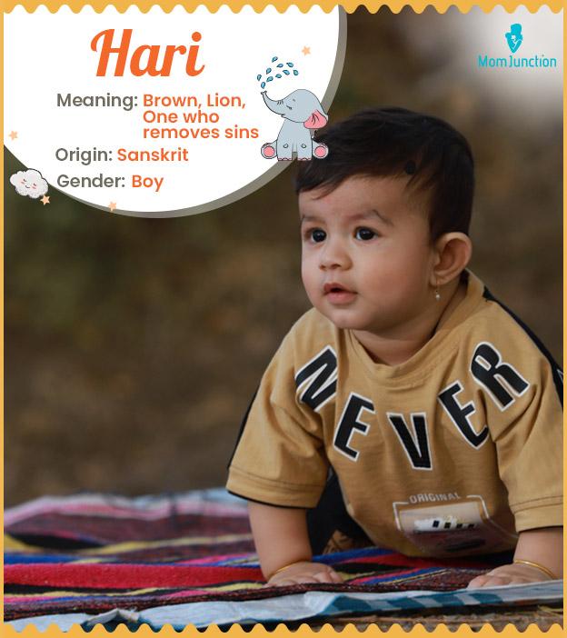 Hari, a spiritual Indian boy name