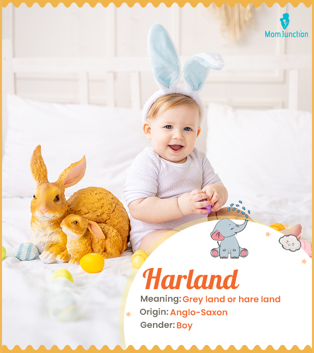 Harland, meaning grey land or hare land