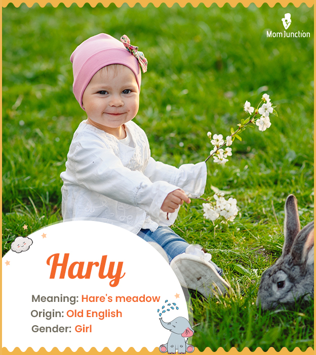 Harly, meaning hare