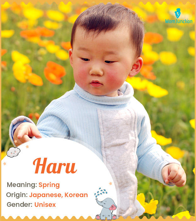 Haru means spring