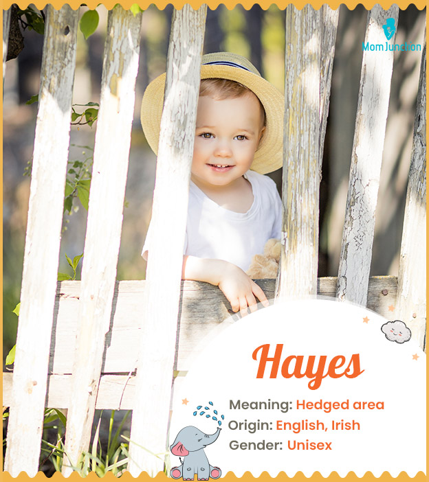 Hayes meaning Hedged area