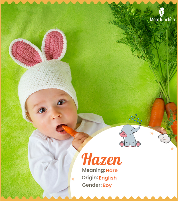 Hazen means hare.