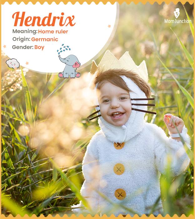 Hendrix Name Meaning, Origin, History, And Popularity