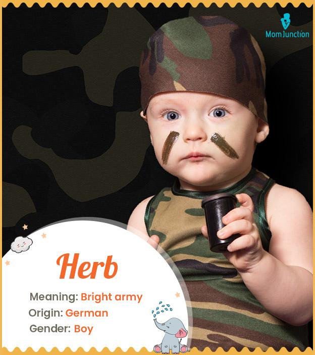 Herb Meaning, Origin, History, And Popularity