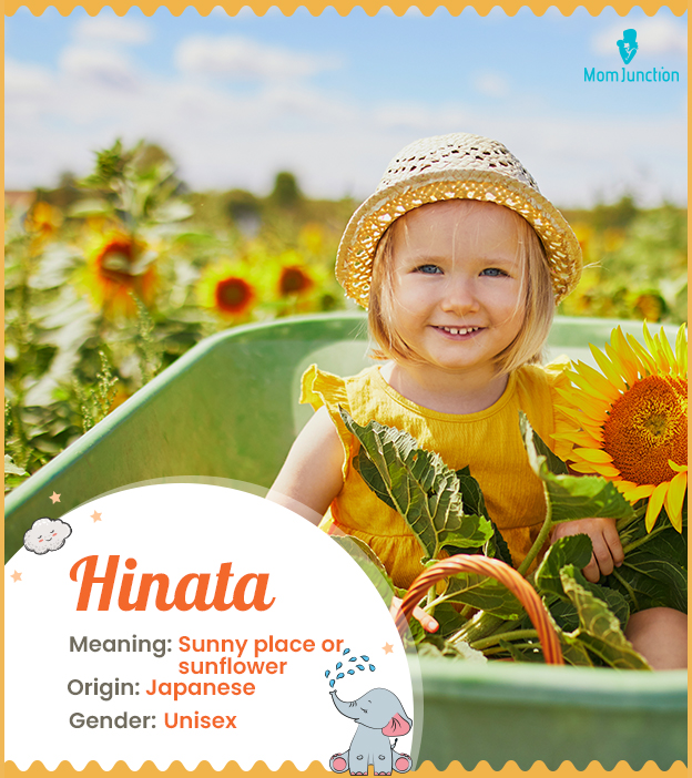 Hinata, meaning sunflower