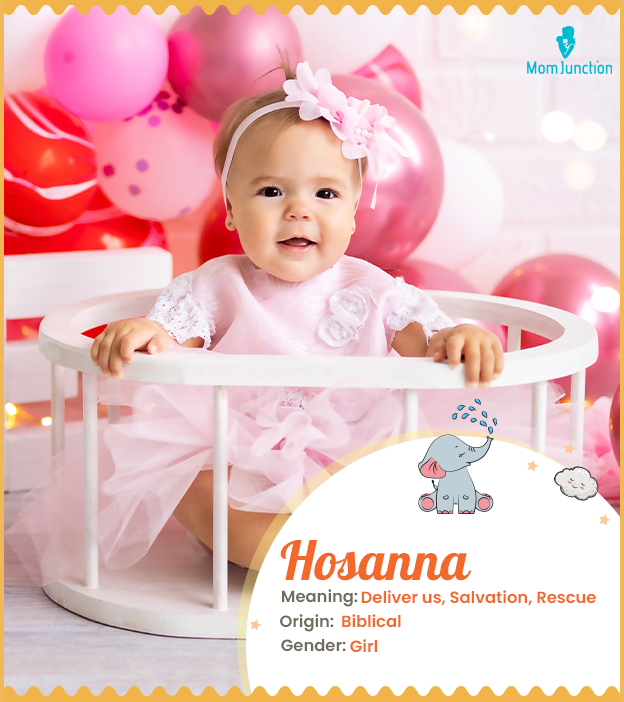 Hosanna, means deliver us, salvation, or rescue.