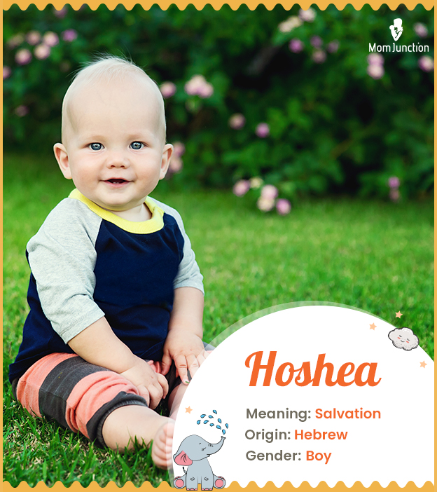 Hoshea means salvation