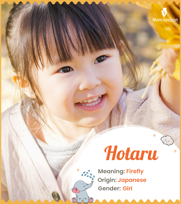 Hotaru, meaning firefly