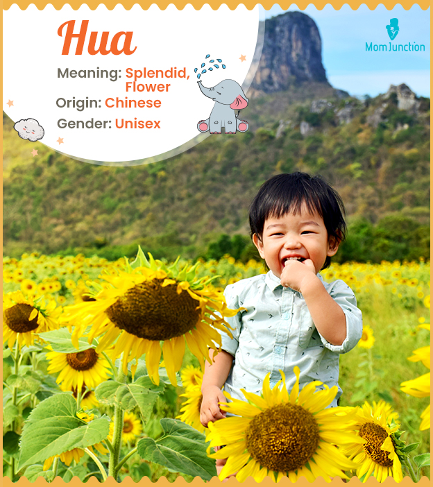 Hua means splendid and flower