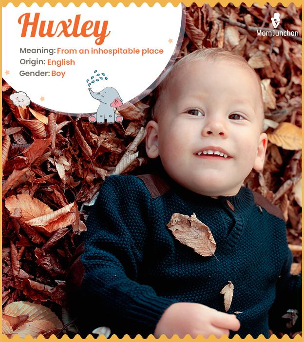 Huxley Name Meaning, Origin, History, And Popularity